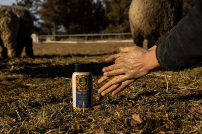Rancher's hands next to a Tough Nut hand cleaner bottle in a farm field with sheep